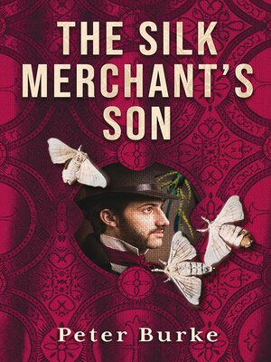 cover image of The Silk Merchant's Son